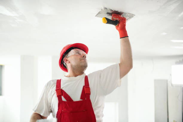 Best Water-Damaged Drywall Repair  in Freeport, FL